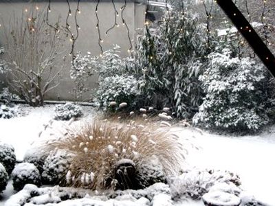 Am Morgen des 7. Dezembers 2012 fiel der erste Schnee.